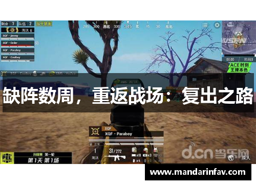 缺阵数周，重返战场：复出之路